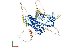 AlphaFold protein structure predicition of Mouse Recombinant Ngef Protein, UniprotID Q8CHT1