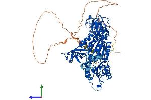 AlphaFold protein structure predicition of Human Recombinant GPHN Protein, UniprotID Q9NQX3 (Gephyrin Protein (GPHN) (AA 1-736) (His tag))