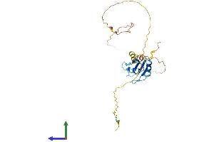 Protein Structure (PS) image for serine/arginine-Rich Splicing Factor 10 (SRSF10) (AA 1-262) protein (His tag) (ABIN7555629)
