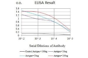 Black line: Control Antigen (100 ng),Purple line: Antigen (10 ng), Blue line: Antigen (50 ng), Red line:Antigen (100 ng) (CD163 抗体  (AA 42-259))