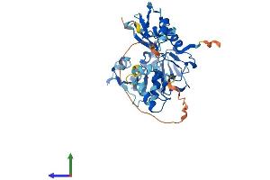 Protein Structure (PS) image for Methenyltetrahydrofolate Synthetase Domain Containing (MTHFSD) (AA 1-383) protein (His tag) (ABIN7549533)