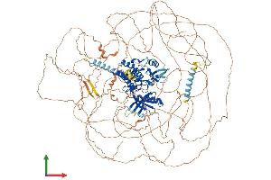 Protein Structure (PS) image for Apoptosis-Associated tyrosine Kinase (AATK) (AA 1-1365) protein (His tag) (ABIN7564298)