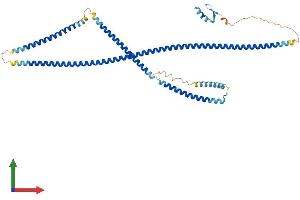 AlphaFold protein structure predicition of Human Recombinant CEP55 Protein, UniprotID Q53EZ4 (CEP55 Protein (AA 1-464) (His tag))