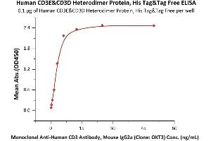 Immobilized Human CD3E&CD3D Heterodimer Protein, His Tag&Tag Free (ABIN6973000) at 1 μg/mL (100 μL/well) can bind Monoclonal A CD3 Antibody, Mouse IgG2a (Clone: OKT3)  with a linear range of 0.