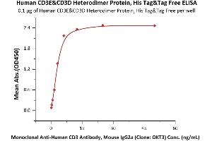 Immobilized Human CD3E&CD3D Heterodimer Protein, His Tag&Tag Free (ABIN6973000) at 1 μg/mL (100 μL/well) can bind Monoclonal A CD3 Antibody, Mouse IgG2a (Clone: OKT3)  with a linear range of 0. (CD3D & CD3E (AA 23-126) (Active) protein (His tag))