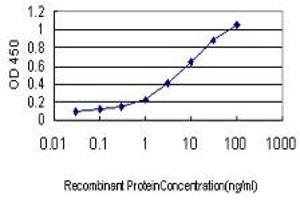 Detection limit for recombinant GST tagged MAPKAPK5 is approximately 0. (MAPKAP Kinase 5 抗体  (AA 371-471))
