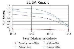 Red: Control Antigen (100 ng), Purple: Antigen (10 ng), Green: Antigen (50 ng), Blue: Antigen (100 ng),