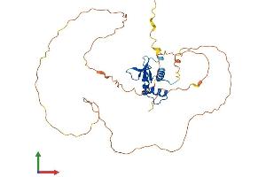 Protein Structure (PS) image for Ets Variant 2 (ETV2) (AA 1-335) protein (His tag) (ABIN7563226)