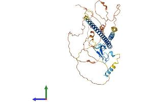 AlphaFold protein structure predicition of Human Recombinant ING1 Protein, UniprotID Q9UK53