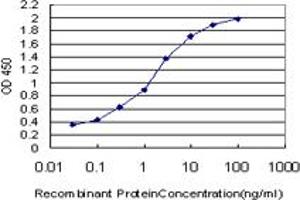 Detection limit for recombinant GST tagged NRBP2 is approximately 0. (NRBP2 抗体  (AA 151-258))