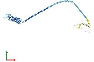 AlphaFold protein structure predicition of Mouse Recombinant Flot1 Protein, UniprotID O08917