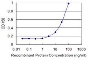 Detection limit for recombinant GST tagged ZNF35 is 1 ng/ml as a capture antibody. (ZNF35 抗体  (AA 1-519))
