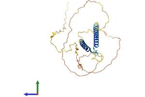Protein Structure (PS) image for Oligodendrocyte Transcription Factor 1 (OLIG1) (AA 1-260) protein (His tag) (ABIN7561641)