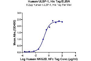UL16 Binding Protein 1 (ULBP1) (AA 26-215) protein (His-Avi Tag)