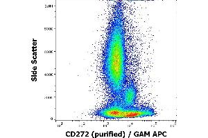 Flow cytometry surface staining pattern of human peripheral whole blood stained using anti-human CD272 (MIH26) purified antibody (concentration in sample 1,7 μg/mL, GAM APC). (BTLA 抗体)