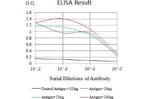 Black line: Control Antigen (100 ng),Purple line: Antigen (10 ng), Blue line: Antigen (50 ng), Red line:Antigen (100 ng) (Thrombomodulin 抗体  (AA 297-505))