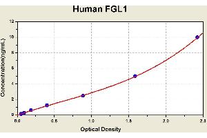 Fibrinogen-Like 1 (FGL1) ELISA Kit