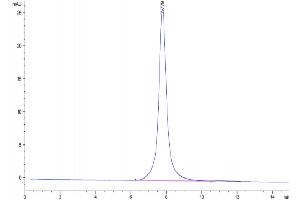 Size-exclusion chromatography-High Pressure Liquid Chromatography (SEC-HPLC) image for Neuropilin 1 (NRP1) (AA 22-644) protein (His tag) (ABIN7275369)