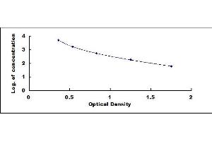 Obestatin (OB) ELISA Kit
