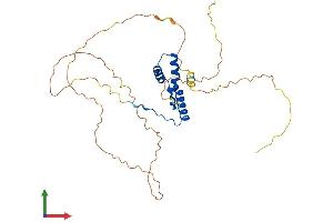 Protein Structure (PS) image for SRY (Sex Determining Region Y)-Box 2 (SOX2) (AA 1-317) protein (His tag) (ABIN7546295)