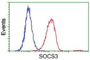 Flow cytometric Analysis of Hela cells, using anti-SOCS3 antibody (ABIN2454685), (Red), compared to a nonspecific negative control antibody, (Blue). (SOCS3 抗体)