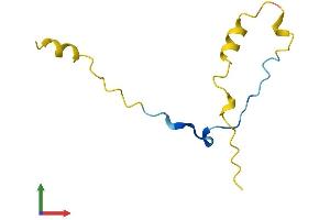 Protein Structure (PS) image for CDC42 Small Effector 1 (CDC42SE1) (AA 1-80) protein (Fc Tag) (ABIN7558651)