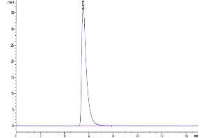 Size-exclusion chromatography-High Pressure Liquid Chromatography (SEC-HPLC) image for Angiotensin I Converting Enzyme 2 (ACE2) (AA 18-740) protein (His-Avi Tag,Biotin) (ABIN7273794)