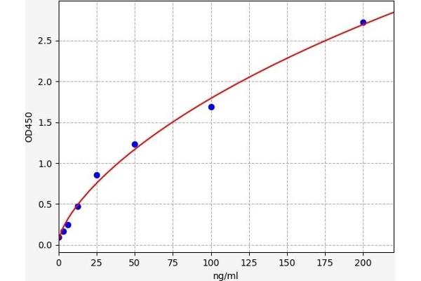 alpha 2 Antiplasmin ELISA 试剂盒