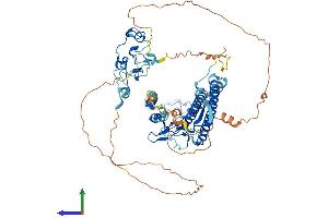 Protein Structure (PS) image for CXXC Finger Protein 1 (CXXC1) (AA 1-656) protein (His tag) (ABIN7546944)