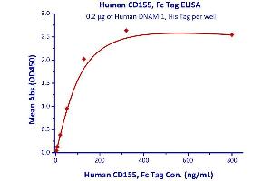 Binding Studies (Bind) image for CD226 (CD226) (AA 19-247) (Active) protein (His tag) (ABIN2870815)