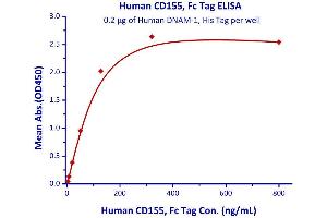Immobilized Human DNAM-1, His Tag  with a linear range of 3. (CD226 Protein (CD226) (AA 19-247) (His tag))