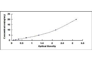 Typical standard curve (MYH2 ELISA 试剂盒)