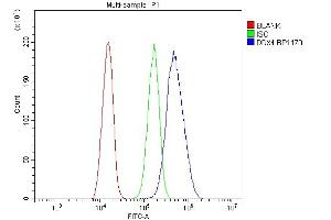 Flow Cytometry analysis of SiHa cells using anti-DDX4 antibody (ABIN7601203). (DDX4 抗体  (AA 3-666))