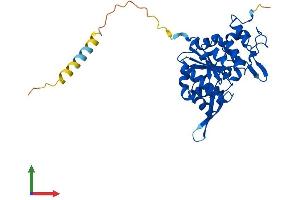 Protein Structure (PS) image for MFNG (MFNG) (AA 1-321) protein (His tag) (ABIN7549338)