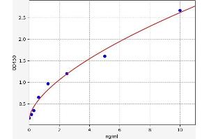 Typical standard curve (c-Rel ELISA 试剂盒)