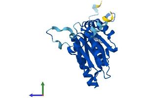 Protein Structure (PS) image for Proteasome Subunit alpha 8 (PSMA8) (AA 1-250) protein (His tag) (ABIN7560665)