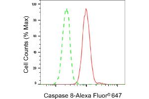 Flow cytometric analysis of Caspase 8 expression in HeLa cells using Caspase 8 antibody (ABIN7797905), 1:2,000). (Caspase 8 抗体)