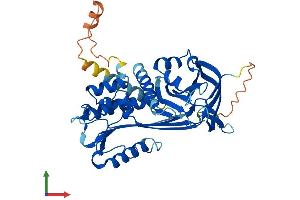 AlphaFold protein structure predicition of Mouse Recombinant Serpinb2 Protein, UniprotID P12388