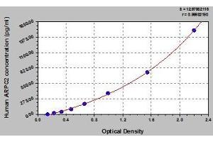 Typical standard curve (ARPC2 ELISA 试剂盒)