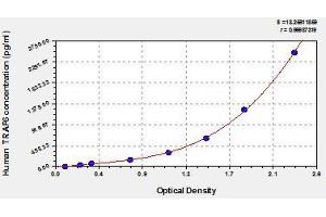 Typical standard curve (TRAF6 ELISA 试剂盒)