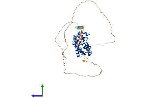Protein Structure (PS) image for Torsin A Interacting Protein 2 (TOR1AIP2) (AA 1-502) protein (His tag) (ABIN7559023)