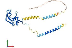 Protein Structure (PS) image for MIS18 Kinetochore Protein Homolog A (MIS18A) (AA 1-233) protein (His tag) (ABIN7549494)