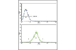 Flow Cytometry (FACS) image for anti-Interleukin 18 Receptor Accessory Protein (IL18RAP) (AA 73-101), (N-Term) antibody (ABIN652745)
