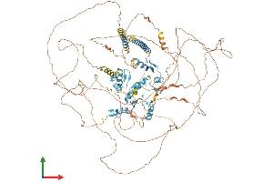 Protein Structure (PS) image for Sal-Like 4 (SALL4) (AA 1-1067) protein (His tag) (ABIN7564452)