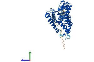 Protein Structure (PS) image for ALG3, alpha-1,3- mannosyltransferase (ALG3) (AA 1-438) protein (His tag) (ABIN7552141)