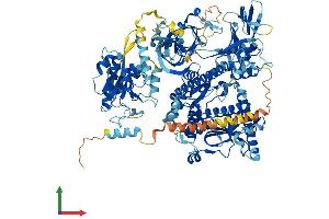 Protein Structure (PS) image for DIS3-Like Exonuclease 1 (DIS3L) (AA 1-1054) protein (His tag) (ABIN7553708)