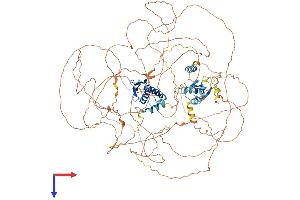 AlphaFold protein structure predicition of Mouse Recombinant R3hdm2 Protein, UniprotID Q80TM6