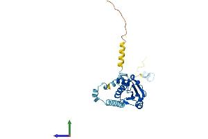 Protein Structure (PS) image for Phosducin-Like 2 (PDCL2) (AA 1-240) protein (His tag) (ABIN7558183)