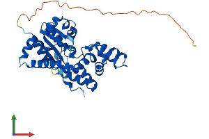 AlphaFold protein structure predicition of Human Recombinant CHST13 Protein, UniprotID Q8NET6