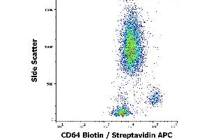 Flow cytometry surface staining pattern of human peripheral whole blood stained using anti-human CD64 (10. (FCGR1A 抗体  (Biotin))